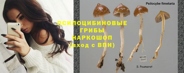 mix Алексин
