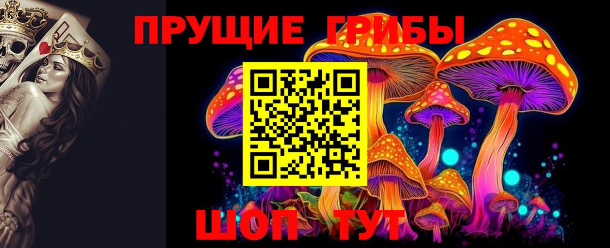 Североуральск  где купить   Вход с VPN  Галлюциногенные грибы мухоморы 